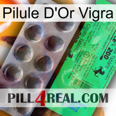 Vigra Gold Pill new04